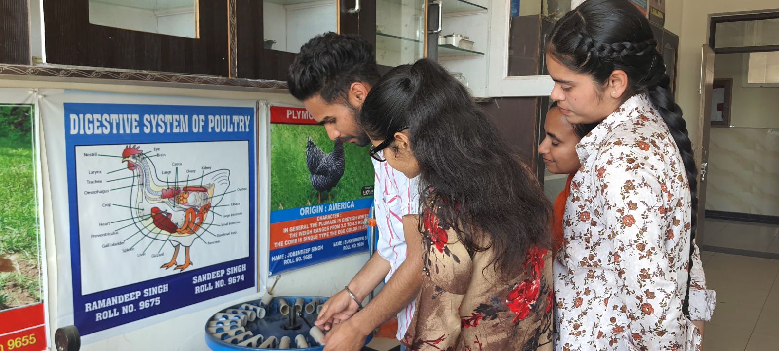 Dairying Lab