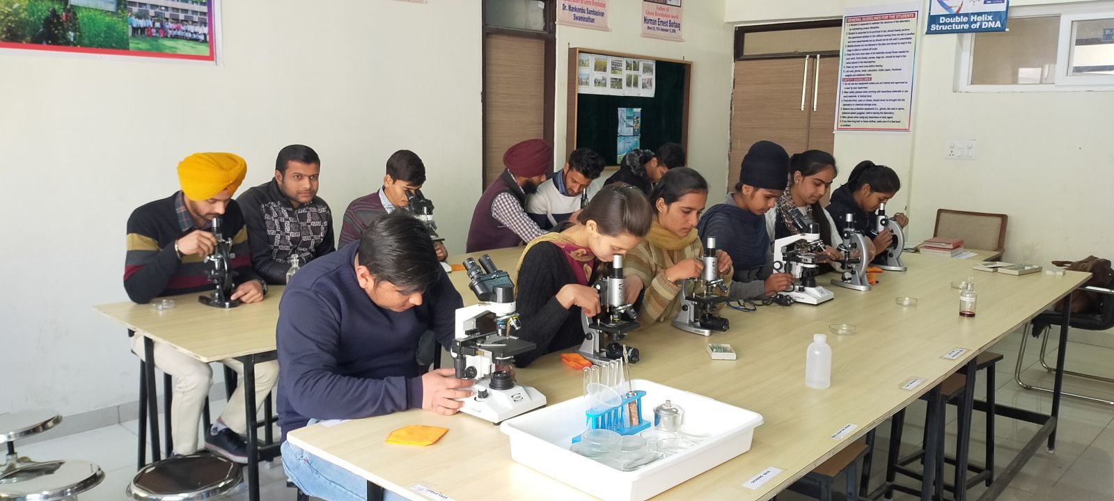 Plant Breeding and Genetics Lab